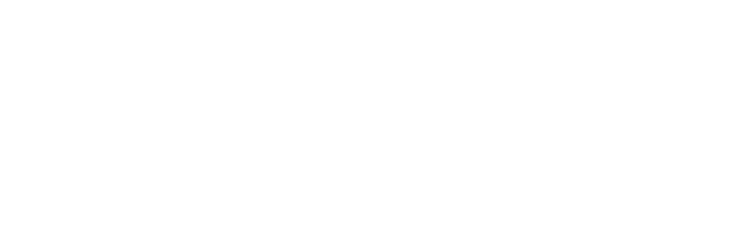 Nestora Lifespaces